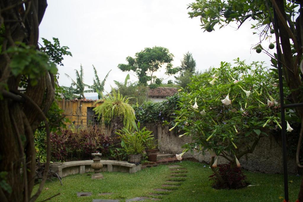 La Casa De Don Pedro Hotell Antigua Exteriör bild